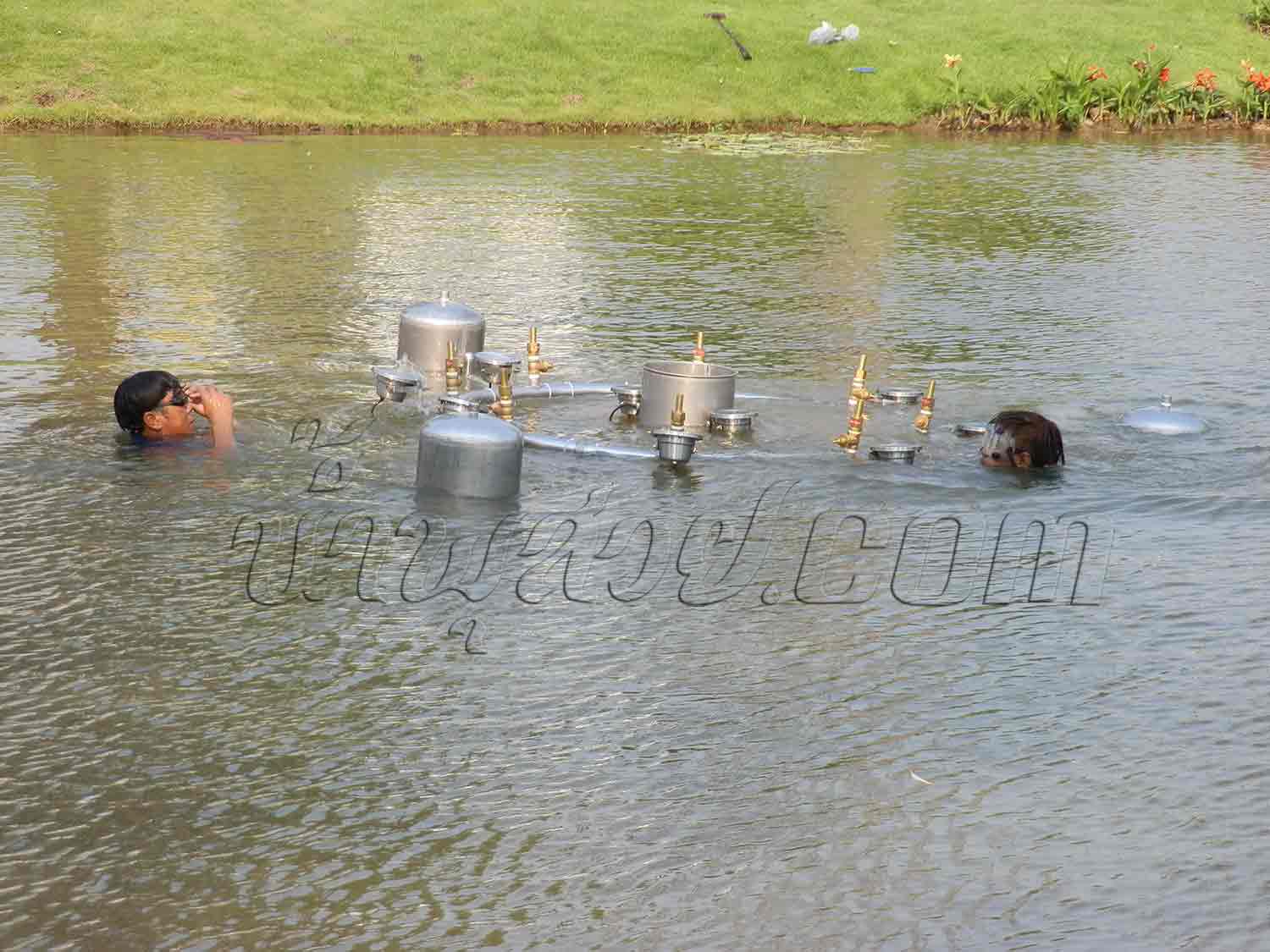 ชุดน้ำพุทุ่นลอย ดอกชบากลีบใหญ่ ที่ สวนหมื่นราม บ้านนายกสมชาย