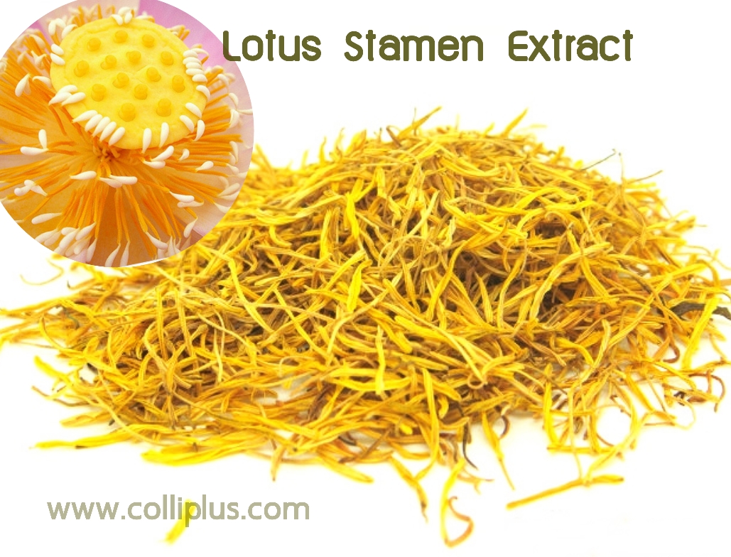 สารสกัดเกสรบัวหลวง Lotus Stamen Extract 100g.