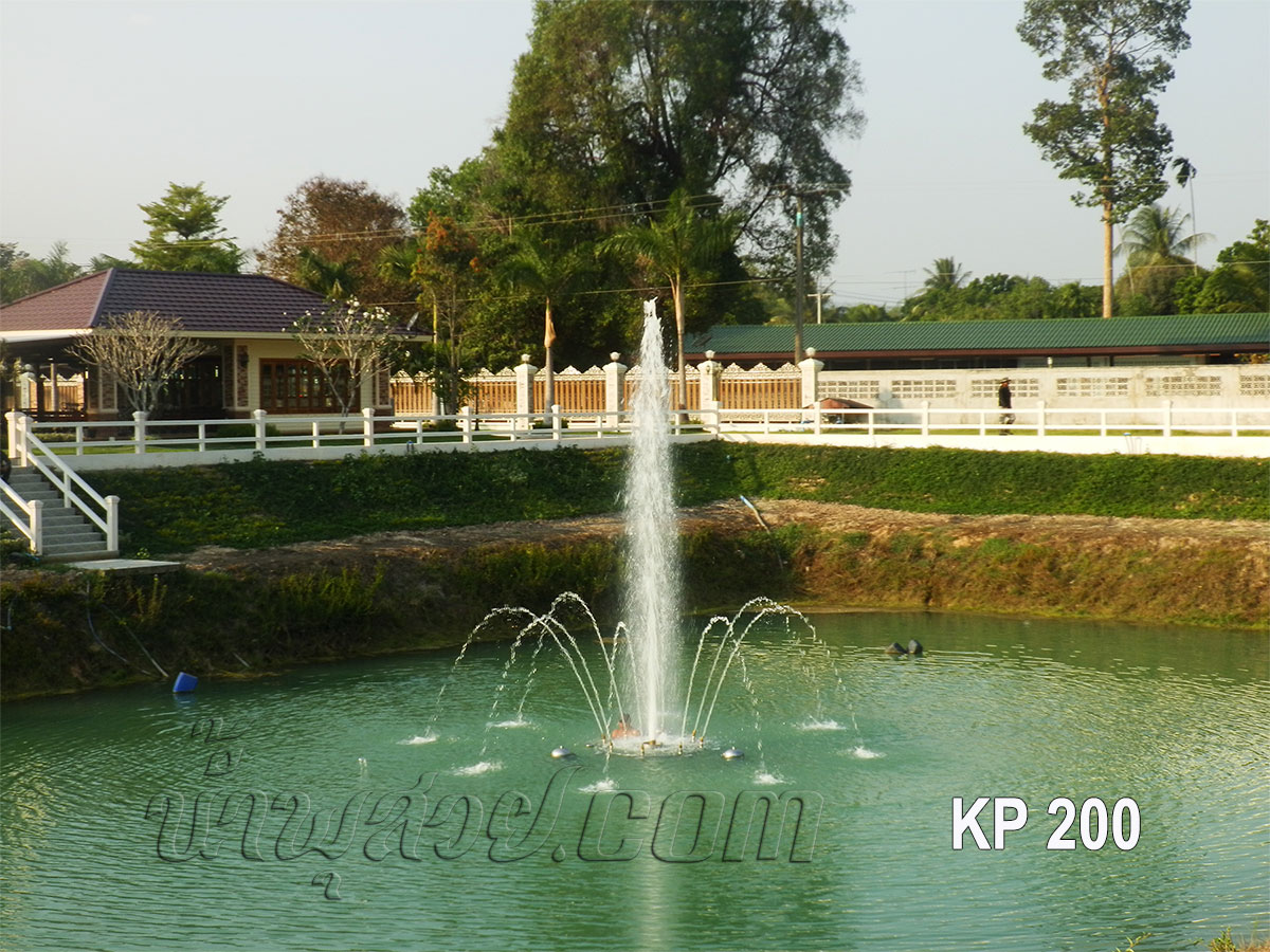 ชุดน้ำพุทุ่นลอย ดอกชบากลีบใหญ่ ที่ บ้านคุณเพ็ญรุ่ง ปราจีนบุรี