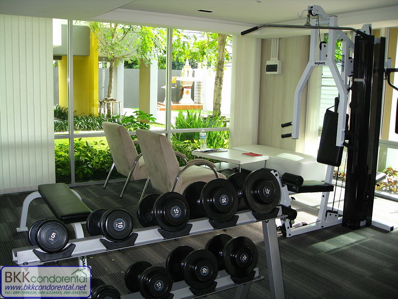 ให้เช่าคอนโด มาย คอนโด สุขุมวิท 103 พื้นที่ 33.84 ตรม. 1 ห้องนอน เช่า 8,000 บ/ด