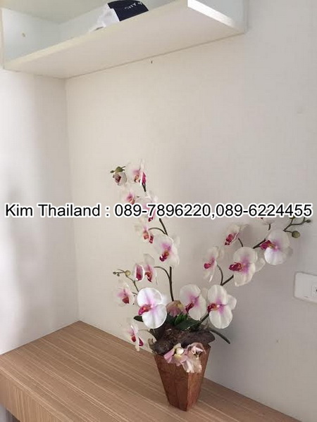 ขาย ลุมพินี คอนโดทาวน์ รามอินทรา-นวมินทร์ พื้นที่ 25 ตร.ม. 1 ห้องนอน ขาย 1.2 ล้านบาท