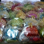 กระเป๋าซิบลายผีเสื้อคละสี