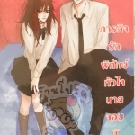 ภารกิจรักพิทักษ์หัวใจนายจอมบู๊ (เช่า)