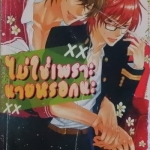 ไม่ใช่เพราะนายหรอกนะ (หนังสือเช่า)