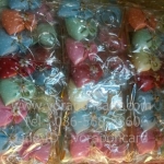 พวงกุญแจกระเป๋าคละสี