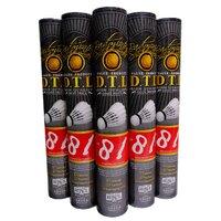 RSL DTL81 จำนวน 5 หลอด (เฉลี่ย 510 / หลอด)