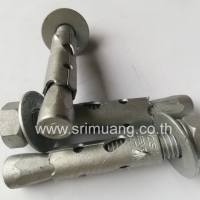 พุ๊กเหล็ก ชุบกัลวาไนซ์ (Hot Dip Galvanize) ขนาด 1/2 (15 ตัว)