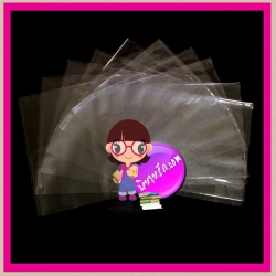 ปกพลาสติก 8.2" X 15"