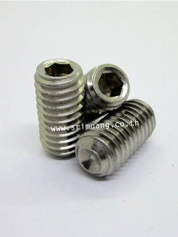 สกรูตัวหนอน สเตนเลส