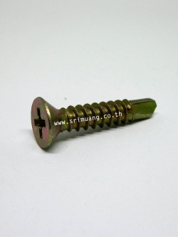 สกรูปลายสว่าน หัวเตเปอร์ ชุบรุ้ง