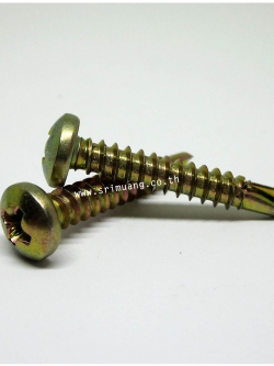 สกรูหัวกลมปลายสว่าน ชุบรุ้ง