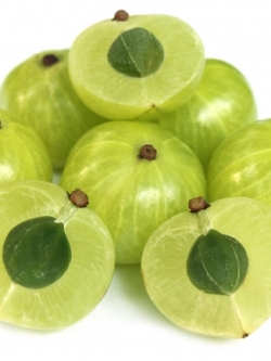 สารสกัดกมะขามป้อม Emblica Extract 50gm.