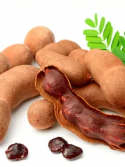 สารสกัดมะขาม (Tamarind Extract) 50g.