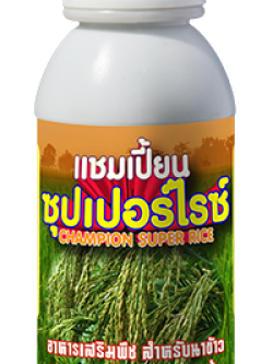 แชมป์เปี้ยนซุปเปอร์ไรซ์ 500 CC