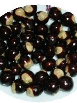 สารสกัดลำไย (Longan Seed Extract) 500g.