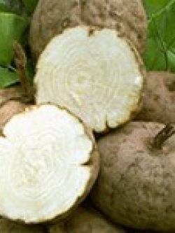 สารสกัดกวาวเครือขาว( Pueraria Mirifica Extract ) 100g. Cosmetic Grade