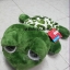 ตุ๊กตา เต่าน้อย nici เต่าแซมมี่ ขนาด 12 นิ้ว จากภาพยนตร์เรื่อง Yes or No